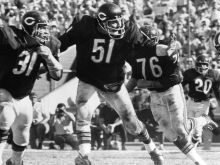 Dick Butkus #1464025 picture (Landscape Medium)