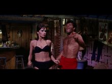 Dick Shawn