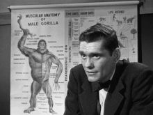 Dick York