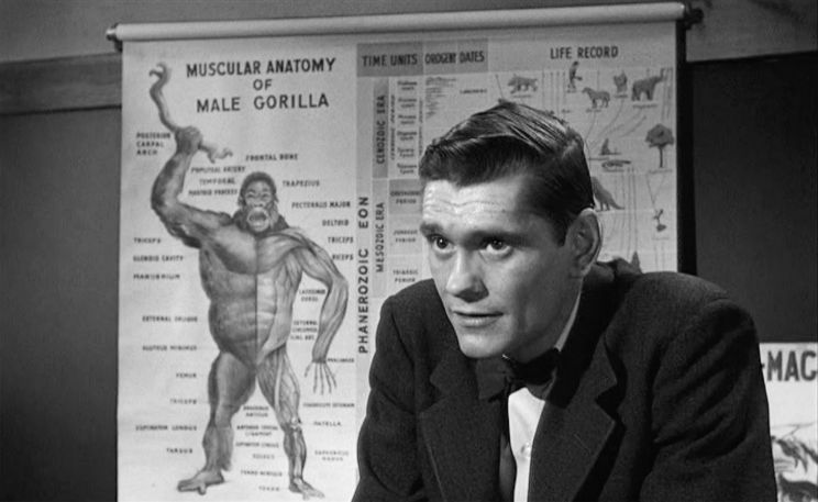 Dick York