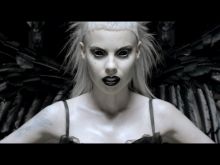 Die Antwoord