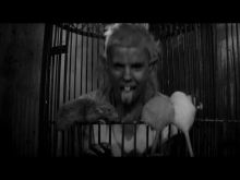 Die Antwoord