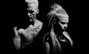 Die Antwoord