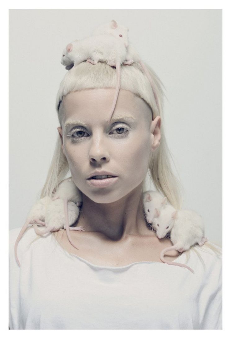 Die Antwoord