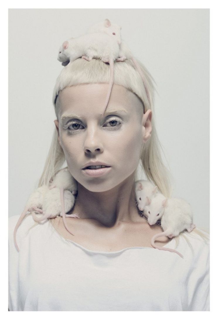 Die Antwoord