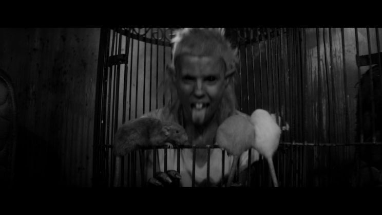 Die Antwoord