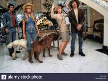 Diedrich Bader