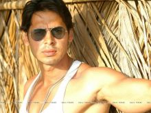 Dino Morea #3881340 picture (Landscape Medium)