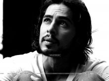 Dino Morea