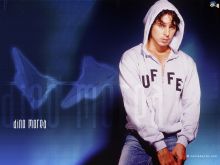 Dino Morea