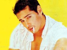 Dino Morea