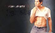 Dino Morea