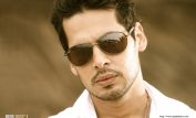 Dino Morea