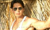 Dino Morea