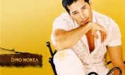 Dino Morea