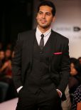 Dino Morea