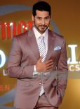 Dino Morea