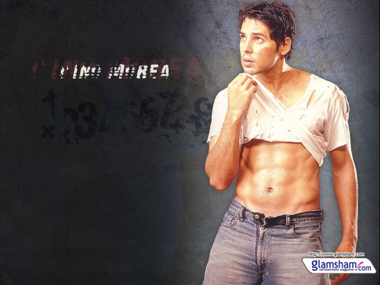 Dino Morea