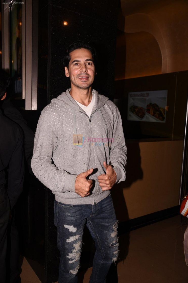 Dino Morea