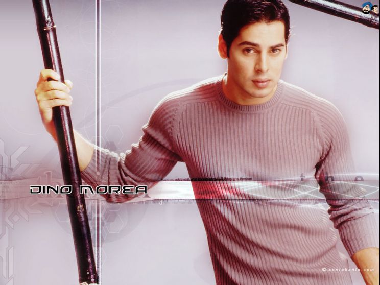 Dino Morea