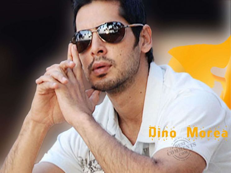 Dino Morea
