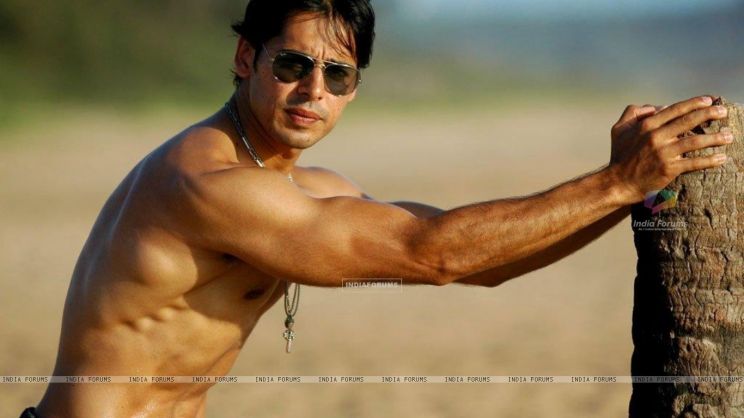 Dino Morea