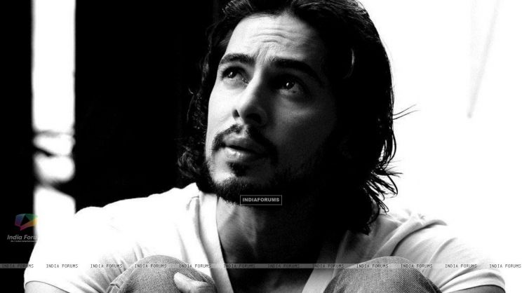 Dino Morea
