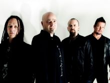 Disturbed