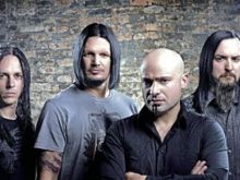 Disturbed