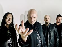 Disturbed