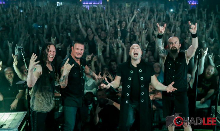 Disturbed