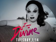 Divine #529323 picture (Landscape Medium)