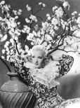 Dixie Lee