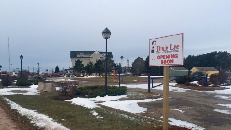Dixie Lee