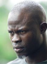 Djimon Hounsou