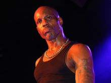 DMX #512901 picture (Landscape Medium)