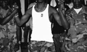 DMX