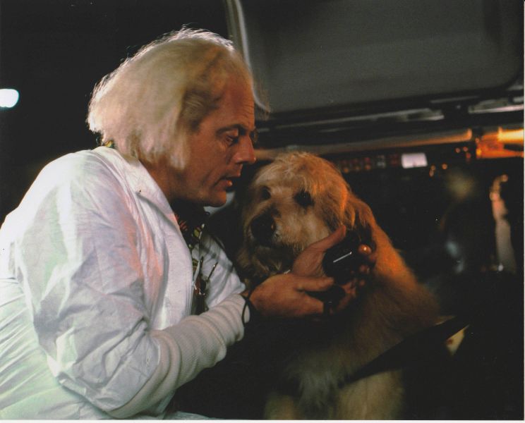 Doc Brown