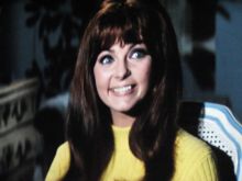 Dolly Read #1315386 picture (Landscape Medium)