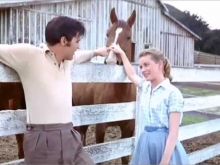 Dolores Hart