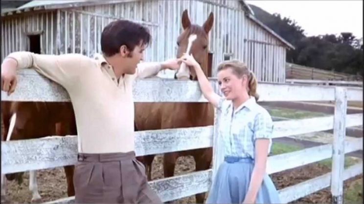 Dolores Hart