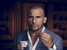 Dominic Purcell