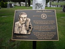 Don Adams