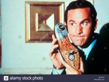 Don Adams