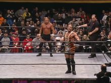 Don Callis