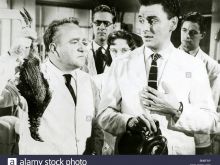 Don Chaffey