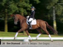 Don Diamond