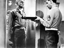 Don Dubbins