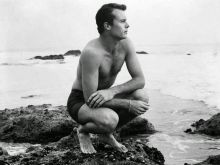 Don Dubbins