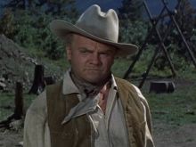 Don Dubbins
